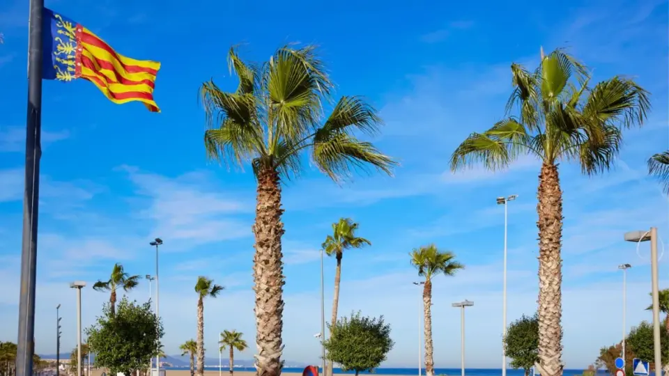 Valencia revoluciona el sector del juego y la burocracia con su nueva Ley 3/2026