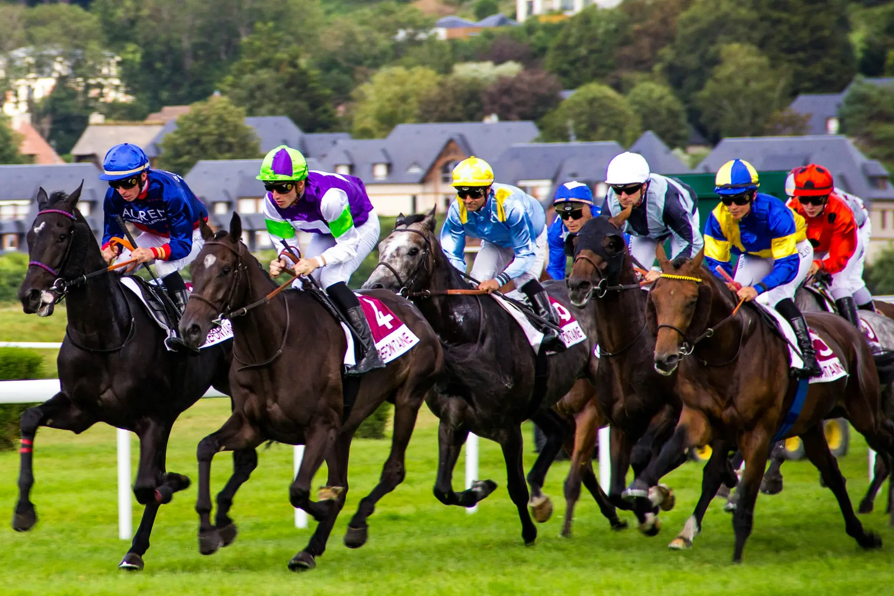 Un peloton de chevaux de course et leurs jockeys en plein galop lors d'une compétition hippique.
