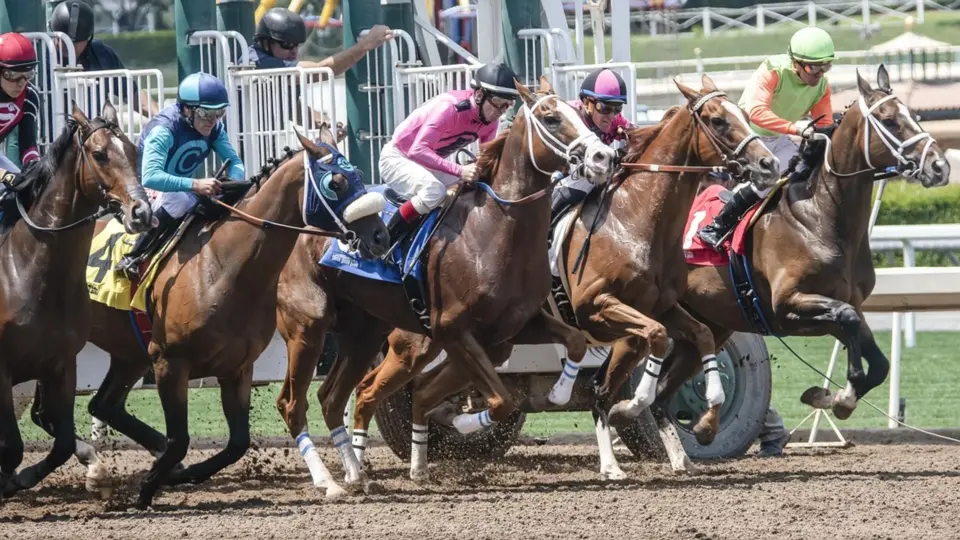Le Super Pick5 veut relancer le pari hippique en fin de journée