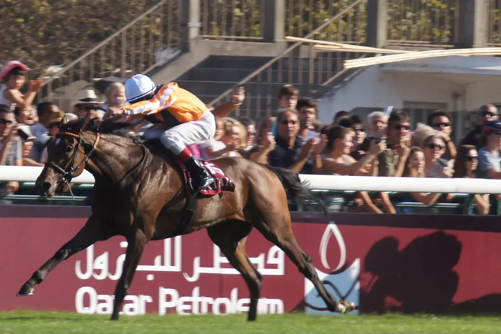 Le cheval Danedream et son jockey lors de la course du Prix de l'Arc de Triomphe 2011.