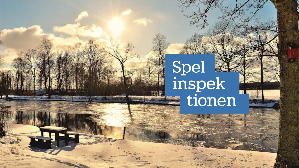 Spelinspektionen: Årsrapport och rekord i Spelpaus 2025