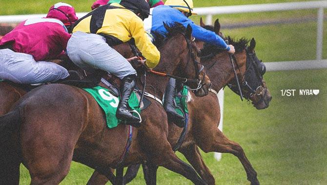 1/st Content partners with NCMS to distribute horseracing content in North America