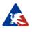 Aruze Gaming America Inc.