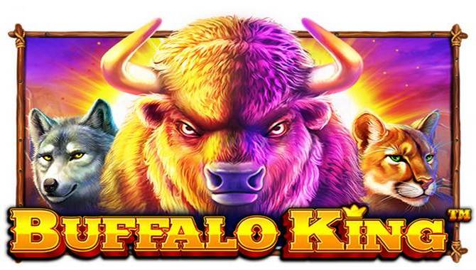 Buffalo King