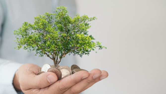 EveryMatrix records 188% annual increase in EBITDA for Q2 2023