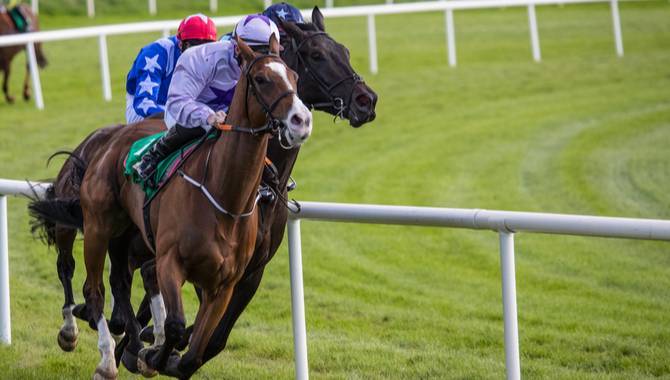 Gordon Elliott apologises for controversial photo; explanation reminiscent of Joleon Lescott