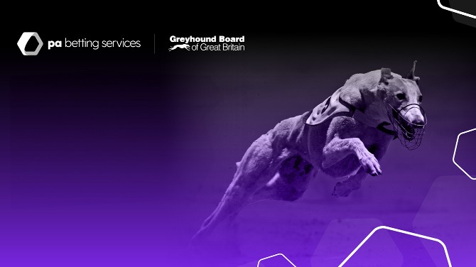 Public submissions invited for inquiry into Greyhound Racing NSW