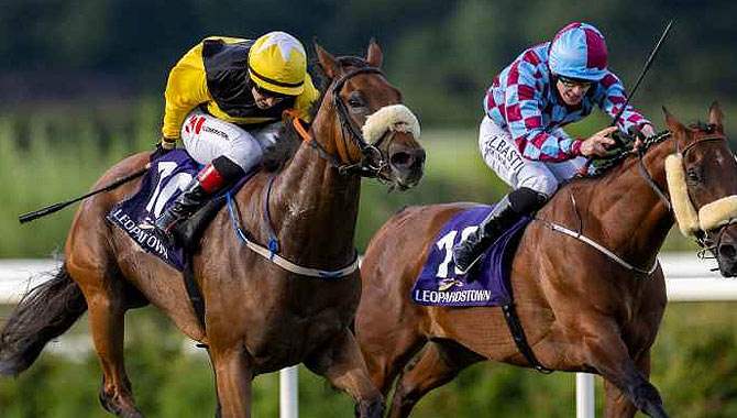 BoyleSports strengthens ties with Irish racing through HRI partnership