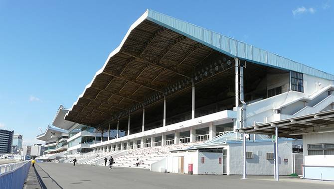 Local horse racing supports regional governments in Japan