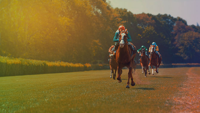 Racing Post set to launch new betting show with William Hill