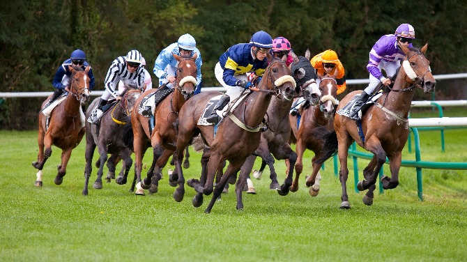 Queensland Government launches racing industry review amid funding concerns 