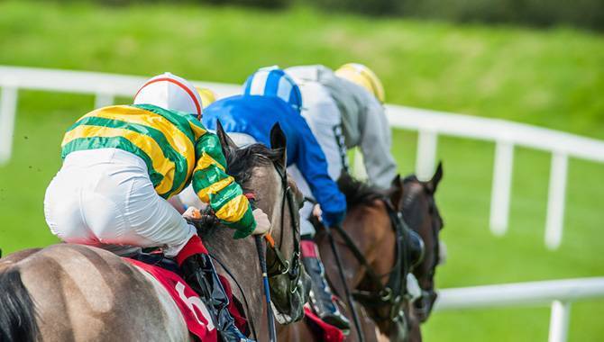 British horseracing groups launch horse welfare campaign, HorsePWR