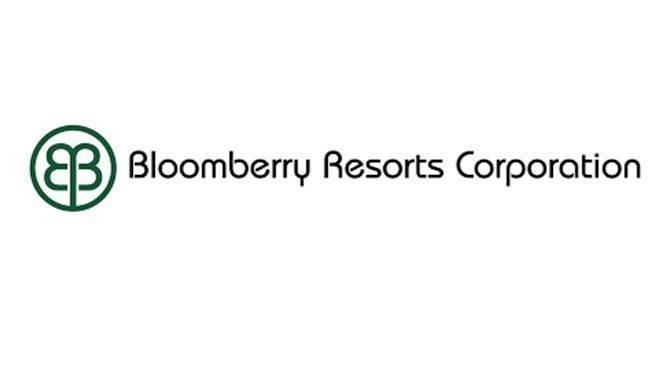 Bloomberry sees decline in Q1 2020