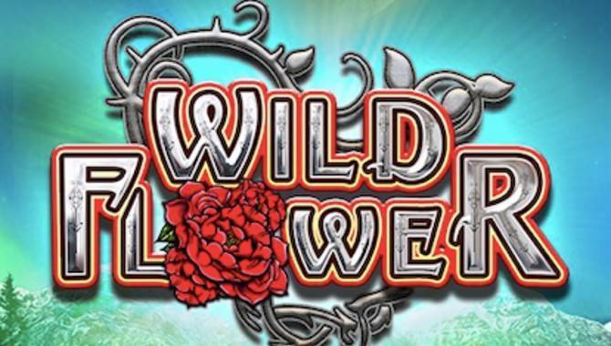 Big Time Gaming’s Wild Flower debuts exclusively via OGS on Flutter Group brands