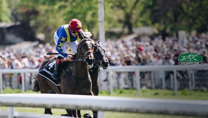 Two new members appointed to Canterbury Park Board of Directors