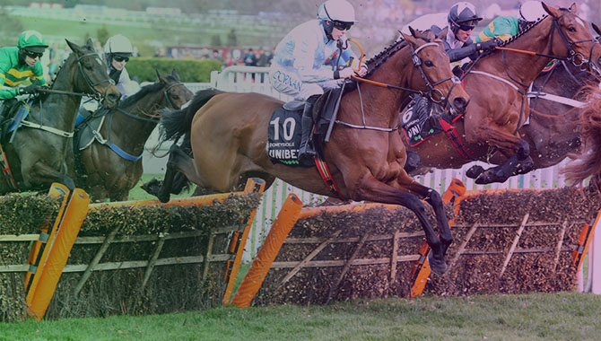 Cheltenham Festival: Flutter’s online brands see $306m turnover