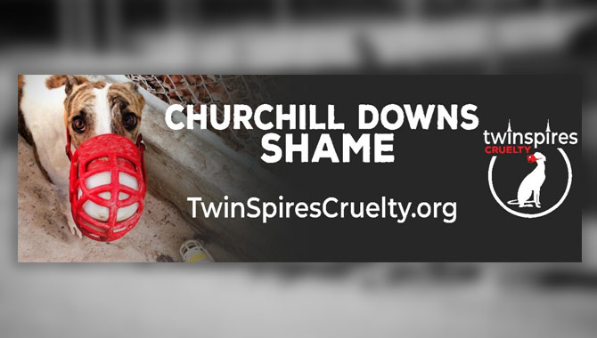 Greyhound protection group to fly banner advertisement over Kentucky Derby