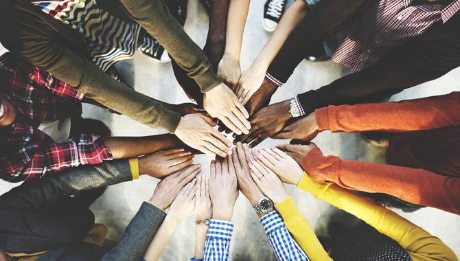 IBIA to target equality in sport with All-in Diversity Project partnership