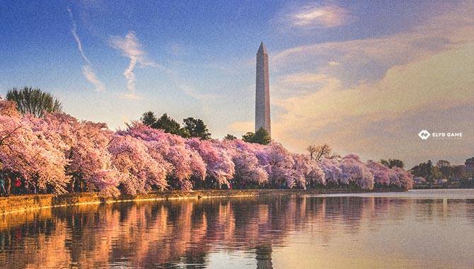 Elys granted approval for Ozio Lounge sportsbook in Washington, DC