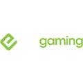ESA Gaming