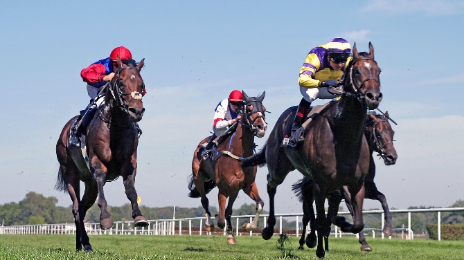 evoke teams up with Ripon Racecourse to hold Charity Race Day this month