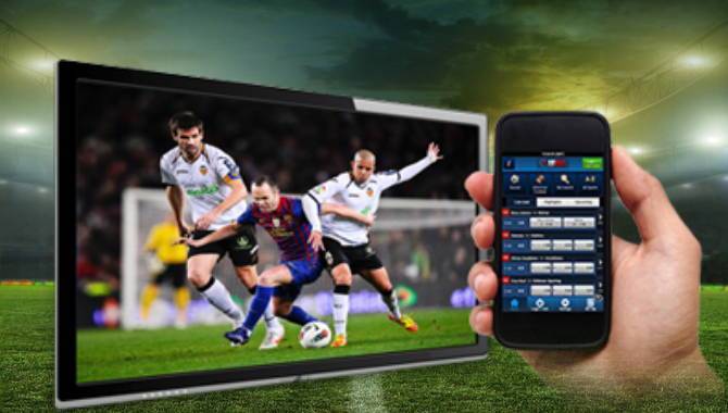 Investigation finds 95% of adverts during football are gambling-related