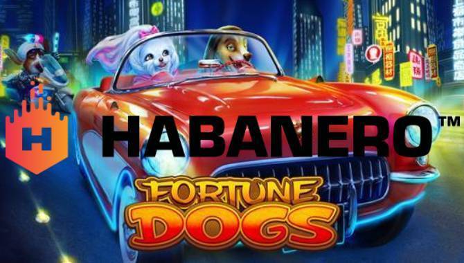 Habanero launches Fortune Dogs slot