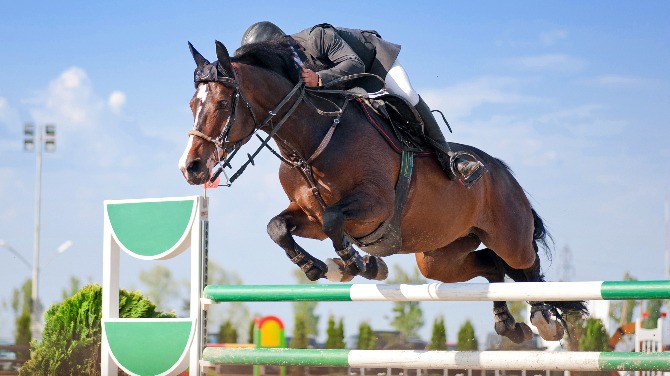 British Horseracing Authority study indicates horse welfare is still biggest hurdle