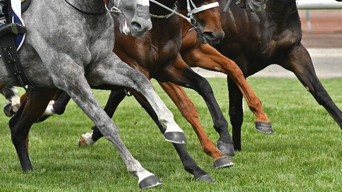 BHA publishes new online education for licence holders
