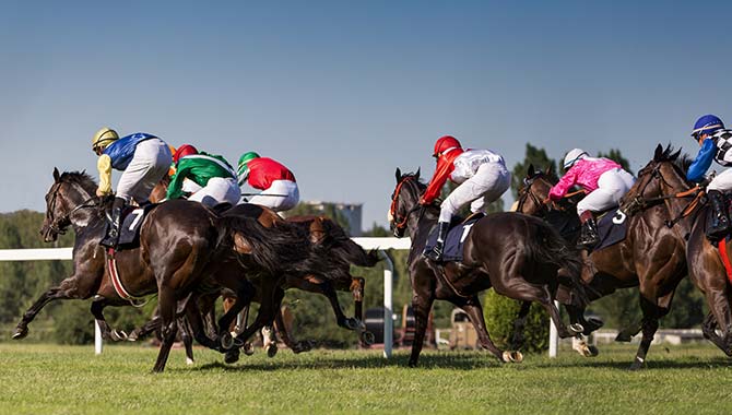 Horseracing tote channel launched by Arena Racing Company and Vermantia