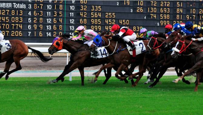 Hong Kong Jockey Club reports 28% turnover increase on last year