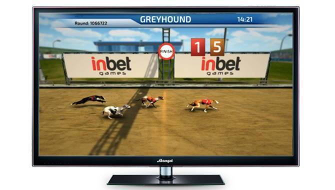 InBet games is excited to introduce another new 3D virtual game – The 3D Dogs Race