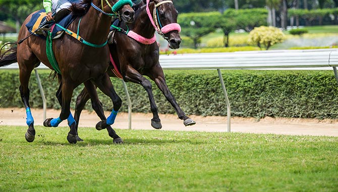 Sky Racing World launches Italian horseracing