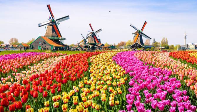 125 firms reportedly interested in Dutch online gaming license