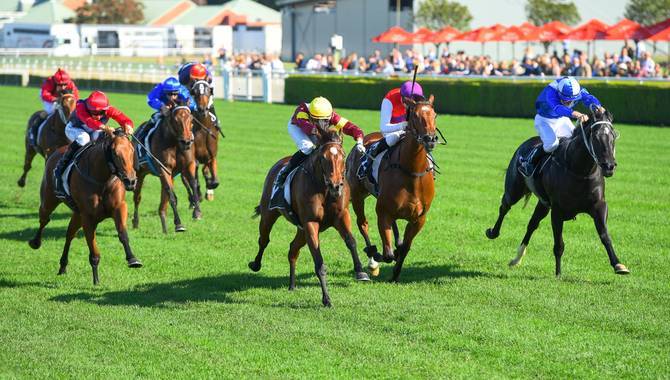 BetMakers completes AU$50m placement after Sportech acquisition approved