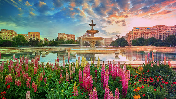 Romanian’s National Gaming Office revokes Betting Frenzy’s licence