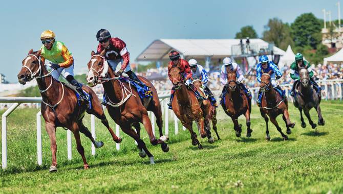 British Horseracing Authority launches safer gambling online resource