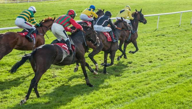Tab NZ reports 6% revenue rise with help of government grant