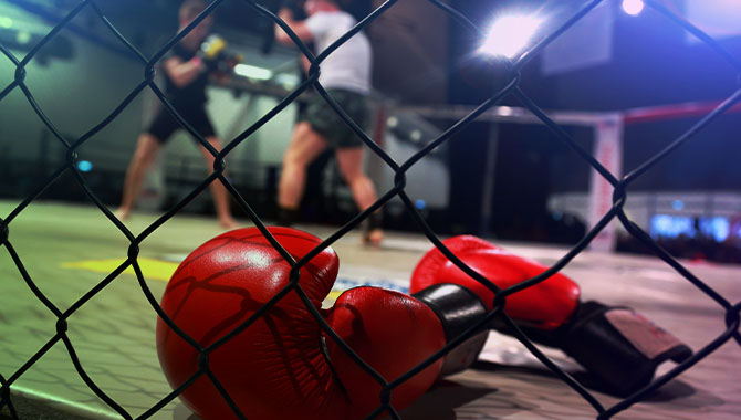 Roobet.fun announced as official social casino of UFC