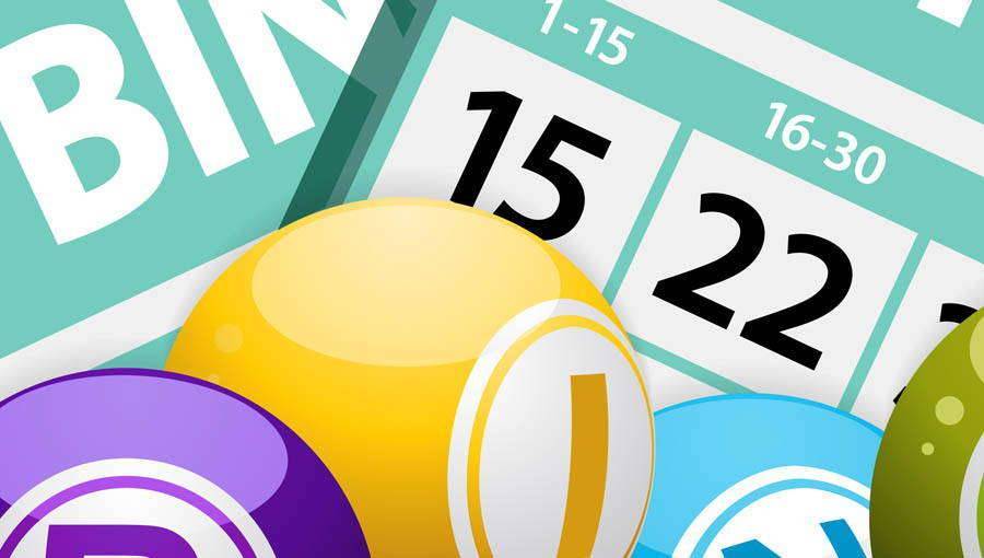 Who plays online bingo?