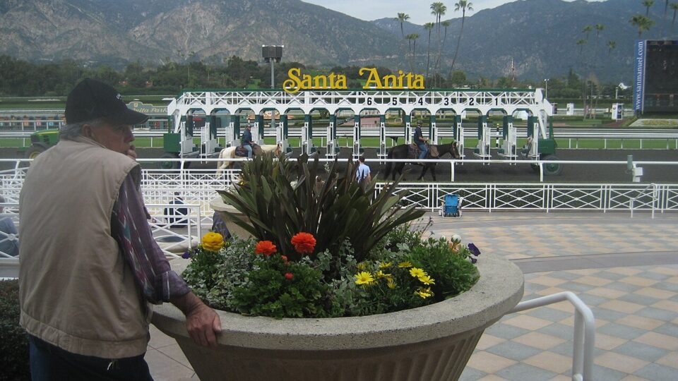 California Horse Racing at Stake: Why Santa Anita Tried ‘Racing on Demand’