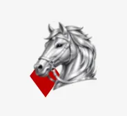 an image of a horse head
