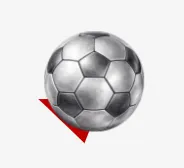 a soccer ball