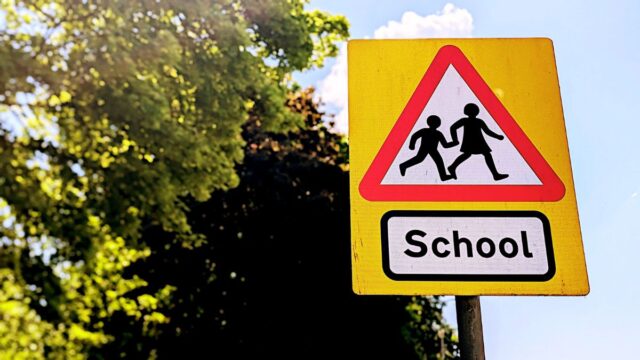 Close up of a yellow school zone sign against a background of sky and tree canopy