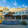 churchill downs q2 2026 earnings results