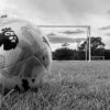 Premier League football on a grass pitch in front of a goal